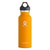 
													
													 Hydro Flask Standard Mouth
												 
												